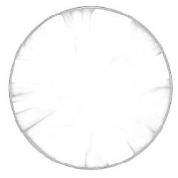 Black Circular Pattern - shape - Transparent Layer PNG
