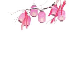 Pink Lanterns - lanterns - High Resolution PNG