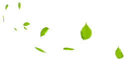 Leaves Falling - falling - Transparent Background PNG