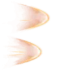 Butterfly Wings - symmetry - nature - PNG