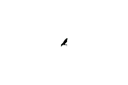 Free PNG - Black Cat - kitten - Pic 5