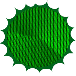 Green Circular Pattern - stripes - High Resolution PNG