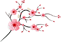 pink - Cherry Blossom - PNG Images - Pic 1