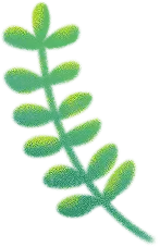 Fern - simple - leaf - Free Download PNG