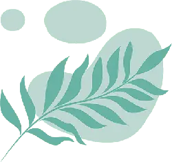 Abstract Leaf Design - minimalist - Transparent Background PNG
