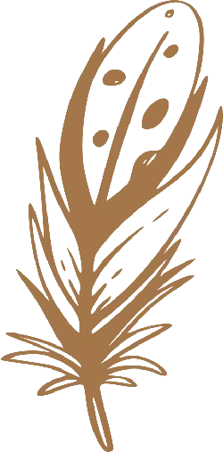 Feather - art - No Watermark PNG