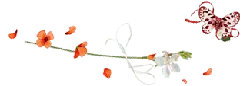 Butterfly and Flowers - Fast Download PNG