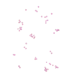 Pink Flowers - spring - Trending PNG