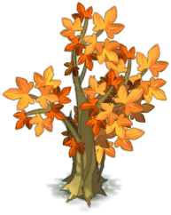 Autumn Tree - PNG