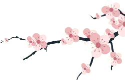 Cherry Blossom Branch - Fast Download PNG - flower