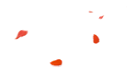 Red Petals - light - petal - No Watermark PNG
