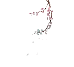 Plum Blossom Branch - nature - flower - Transparent Layer PNG