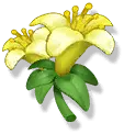 Yellow Flower - vitality - Transparent Background PNG