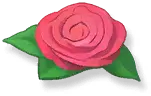 Rose - Transparent Layer PNG - Curated PNG