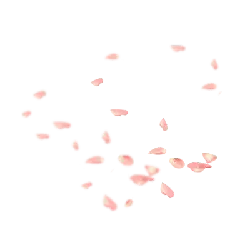 Pink Petals - pink - Free Download PNG