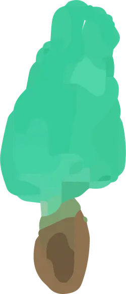Broccoli - nutrition - Trending PNG