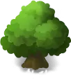 Tree - Lossless PNG - No Watermark PNG