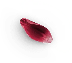 Petal - red - PNG