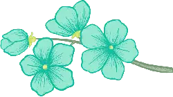 Blue Flower - plant - Lossless PNG