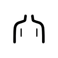 Black Cat - PNG - No Watermark PNG