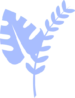 Two Leaves - Free for Commercial Use PNG