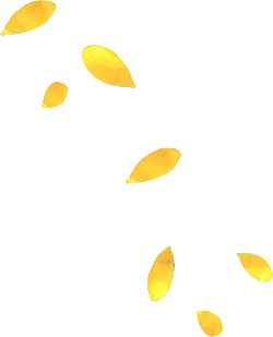 Ginkgo Leaves Falling - nature - PNG Images