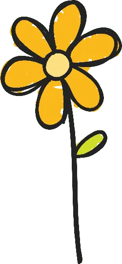 Yellow Flower - line art - High Resolution PNG