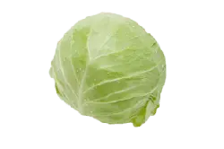 Cabbage - fresh - PNG Images
