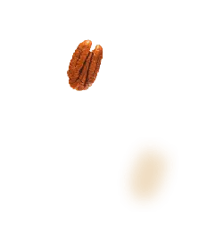 Pecan Nut - pecan - Free Download PNG