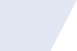 Gray Background - minimalistic - No Background PNG