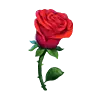 Rose - flower - romance - No Watermark PNG