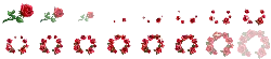 Rose - love - nature - High Resolution PNG
