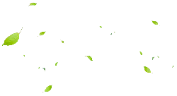 Leaves Falling - leaves - green - PNG