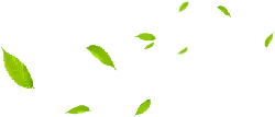 Leaves Falling - background - Free for Commercial Use PNG