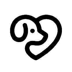 Black Owl - Transparent Layer PNG - night activity - Pic 1