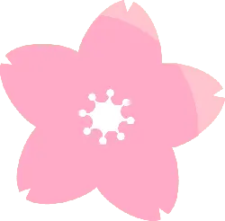 Cherry Blossom - High Quality PNG - Transparent Layer PNG