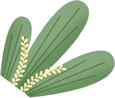 Palm Leaf - Trending PNG - green