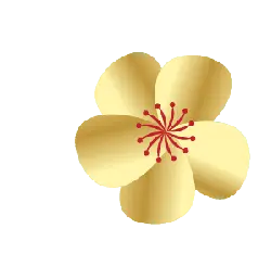 Plum Blossom - PNG