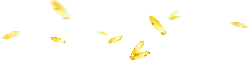 Coins - coins - No Watermark PNG
