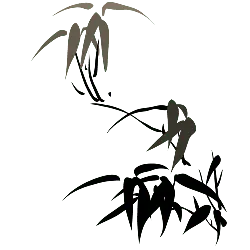 Bamboo - ecology - growth - No Background PNG
