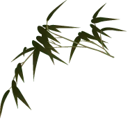 Bamboo - leaves - PNG Images