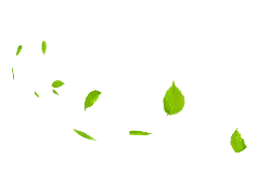 Falling Leaves - Free PNG - nature
