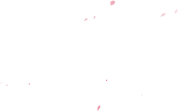 Pink Petals Falling - No Watermark PNG - beautiful