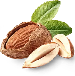 Almond - snack - Free PNG