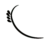 White Line Pattern on Black Background - Free PNG - No Watermark PNG
