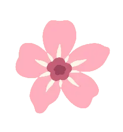 Pink Flower - Free for Commercial Use PNG - pattern