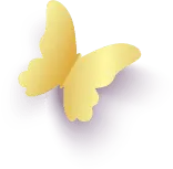 Butterfly - insect - pattern - Transparent Background PNG