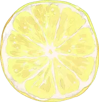 Lemon Slice - juicy - circle - PNG
