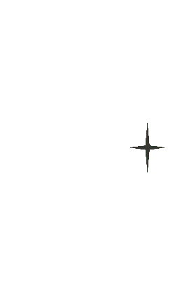 Cloverleaf - Transparent Layer PNG