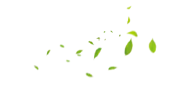 Falling Leaves - autumn - Popular Download PNG